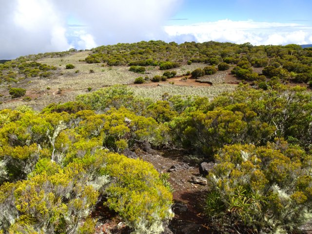 Rejoindre la Piste de la Glacière par le petit ou le grand sentier