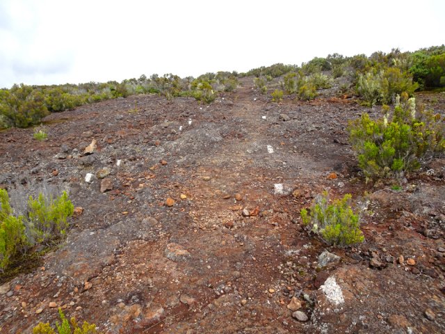 Le large sentier menant là la RF du Maïdo