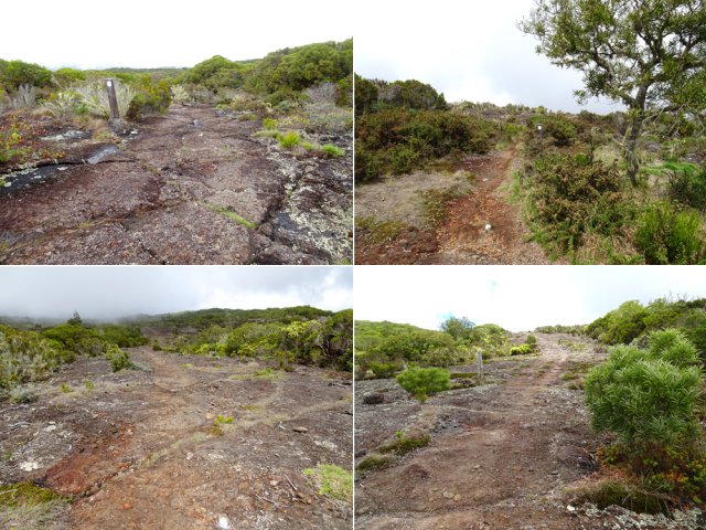 La piste VTT, très large, peut accueillir cyclistes et randonneurs