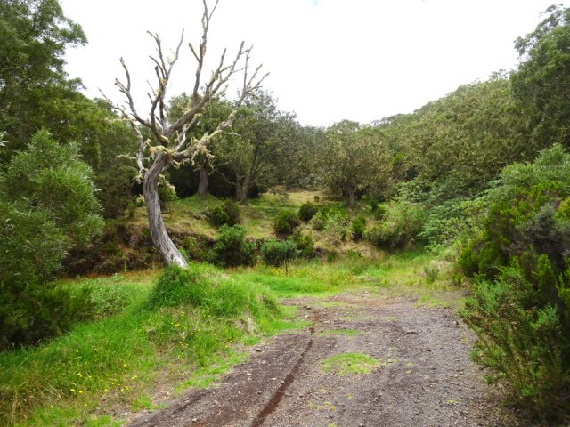 La piste des 1800 Nord, beaucoup plus agréable que celle de la Glacière