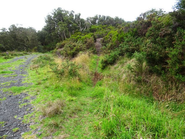 Le dernier raccourci pour atteindre le parking de départ