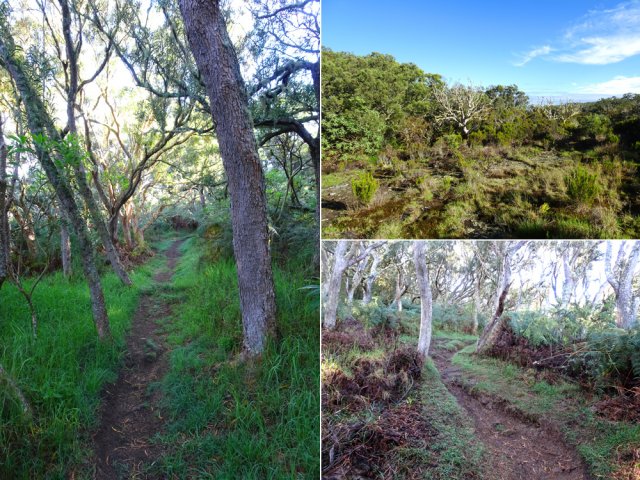 Le sentier remontant au rempart, de plus en plus fréquenté