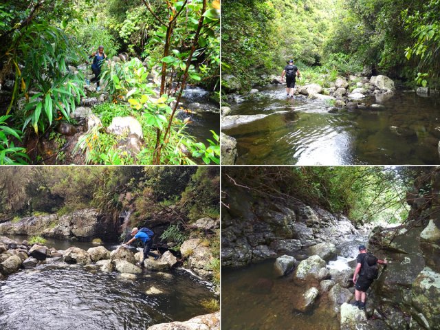 Pas de conseil à donner pour trouver comment suivre la ravine