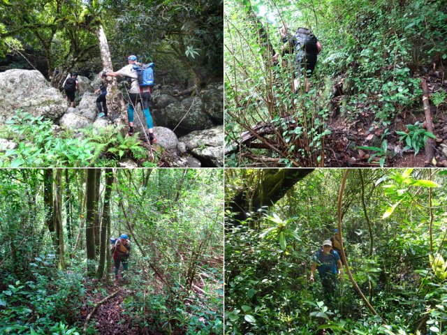 Remontée vers le Piton Charpentier et le Bassin Bleu