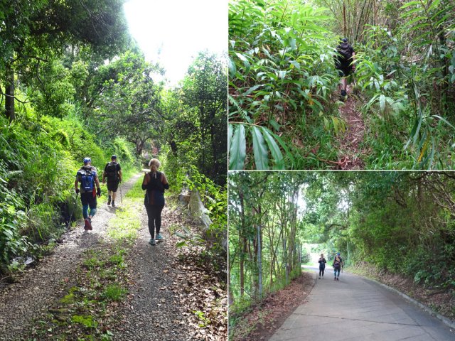 Pistes, sentier et routes pour parvenir à l'arrêt de bus