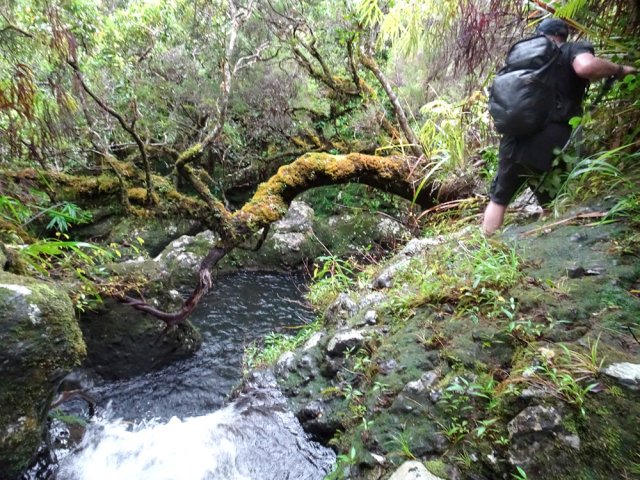 Le Bras du Bernica est un joli torrent