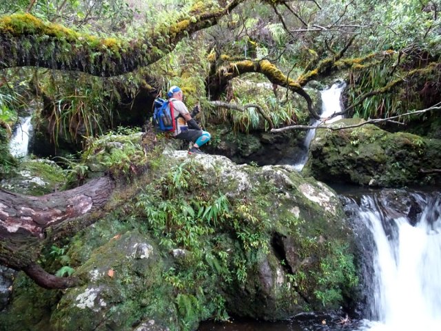 Superbe endroit entre cascades et arbres moussus
