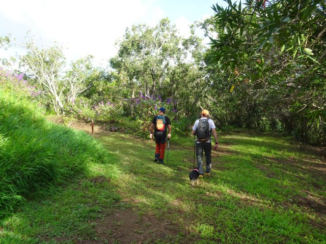 Le large sentier descendant vers le Bassin la Mer
