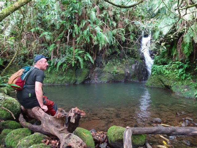 Longue cascade tombant en paliers. Le dernier alimente un petit bassin d'eau claire