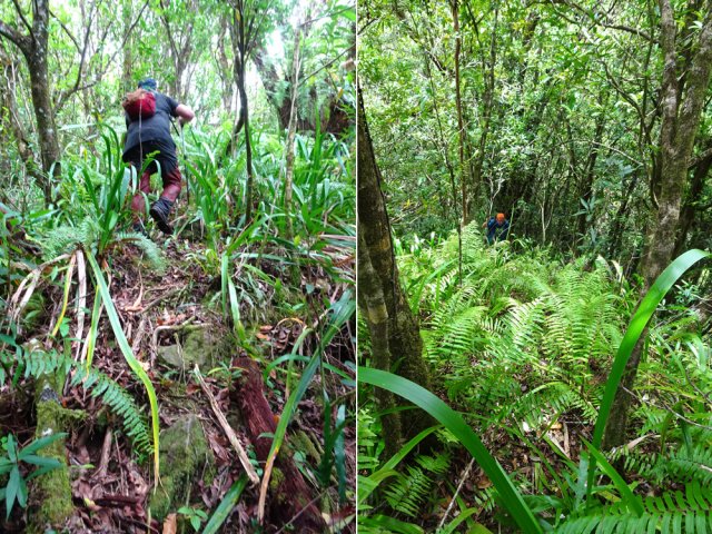 L'effort est constant jusqu'à atteindre le haut de la crête