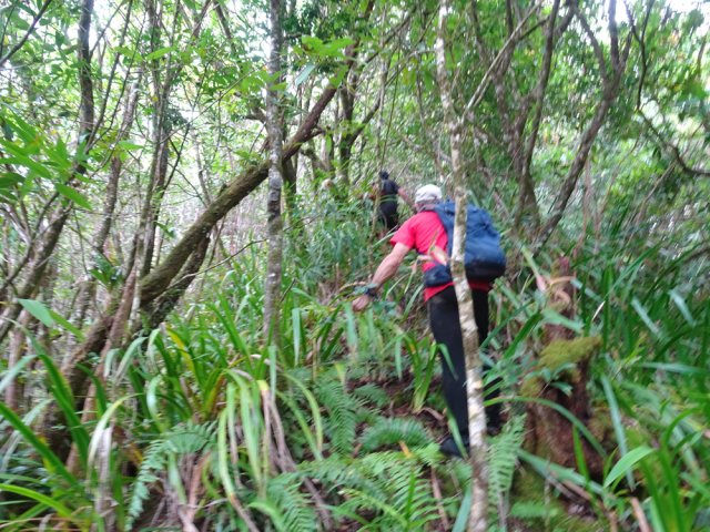 Si on ne voit pas le sentier, longer la crête sans jamais chercher à descendre