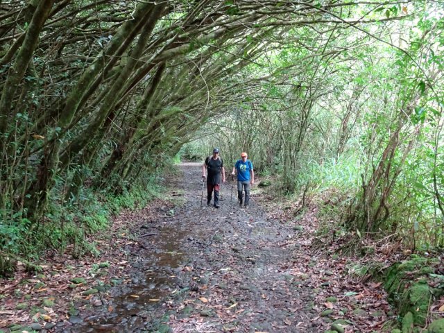 Après le franchissement du Grand Bras, balade sur le large Chemin de l'Harmonie