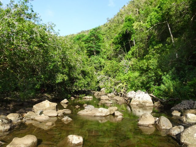 Une des rares portions planes du Grand Bras dans sa vallée très verdoyante