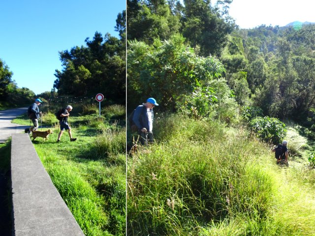 Départ en rive droite du Bras Sud de la Grande Ravine