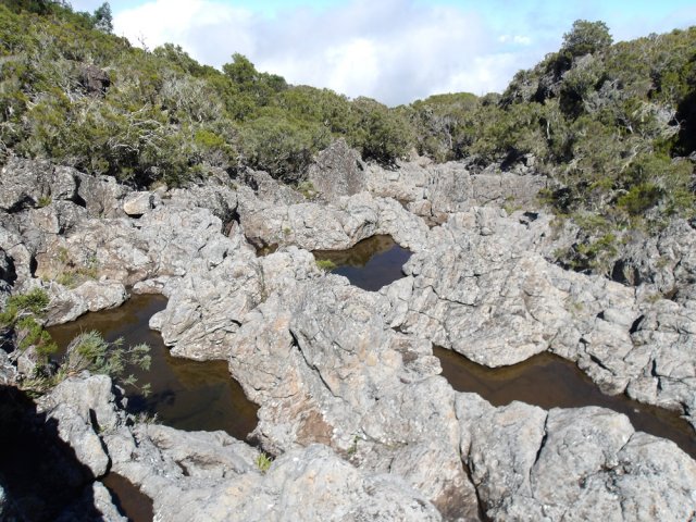 Heureusement, la fraîcheur de la nuit élimine les moustiques