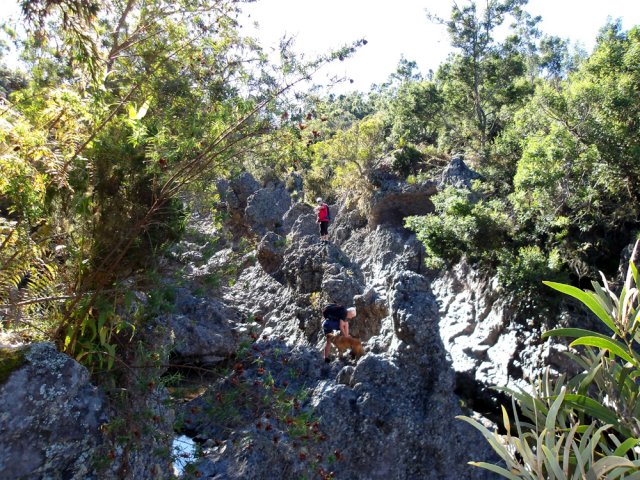 Un peu de végétation au départ et déjà beaucoup de basalte