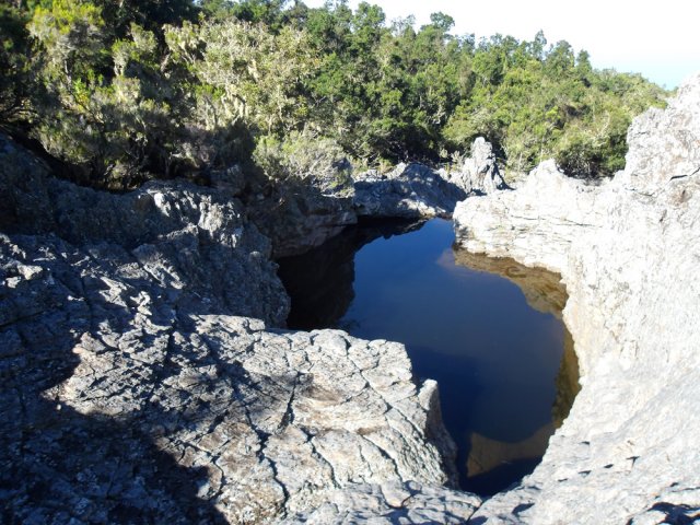 Moins de bassins qu'en amont de l'arche mais on en trouve régulièrement