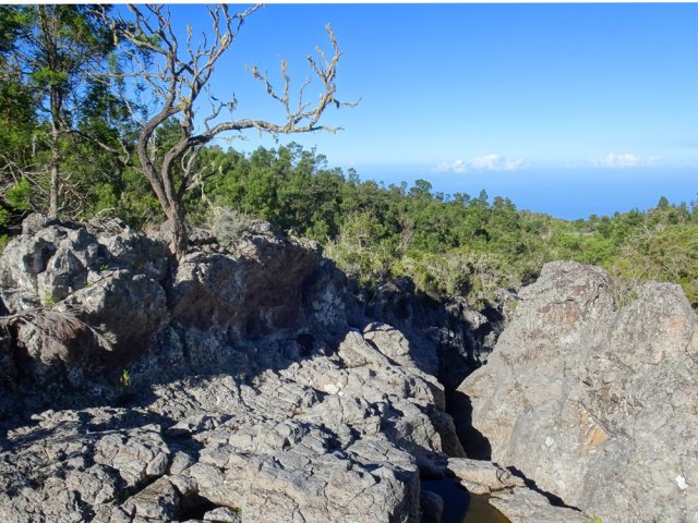 Petits canyons faciles à longer au plus près des branles verts