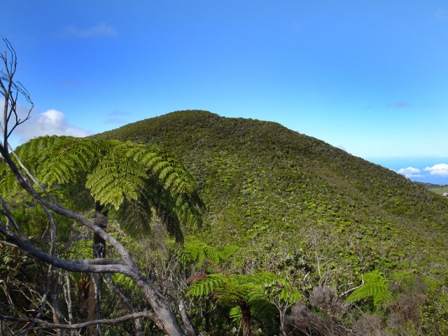 Le Piton Rouge depuis la crête