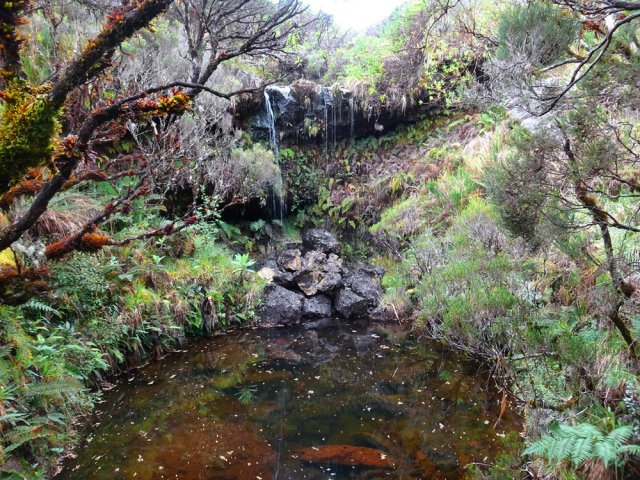 Un peu plus haut, le sentier effleure un nouveau bassin et sa fine cascade