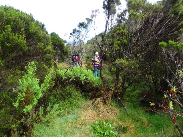 Suivre une ravine difficile à discerner dans les herbes mouillées