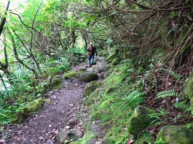 Sentier souvent plat et parfois encombré de roches